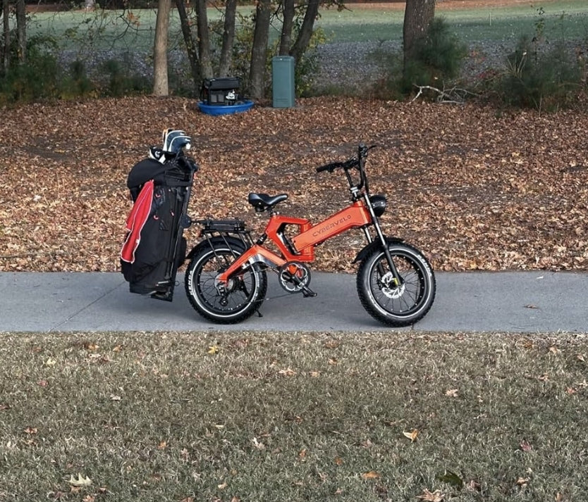 X50 with panniers near the beach